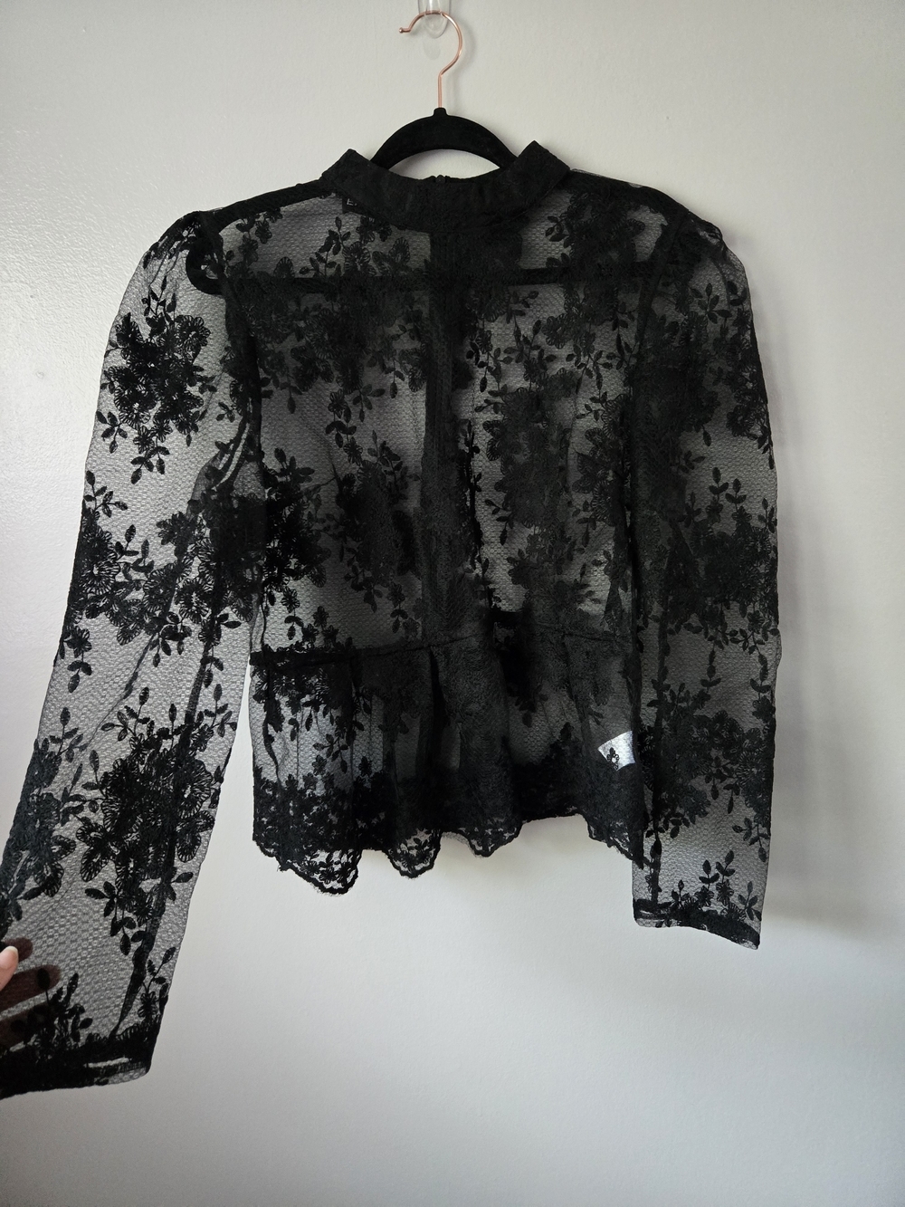EillyBazar Black Floral Lace Sheer Long Sleeve Peplum Top Mock Neck Romantic XL - Picture 2 of 8